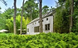 Wander East Hampton Woods - Image 5